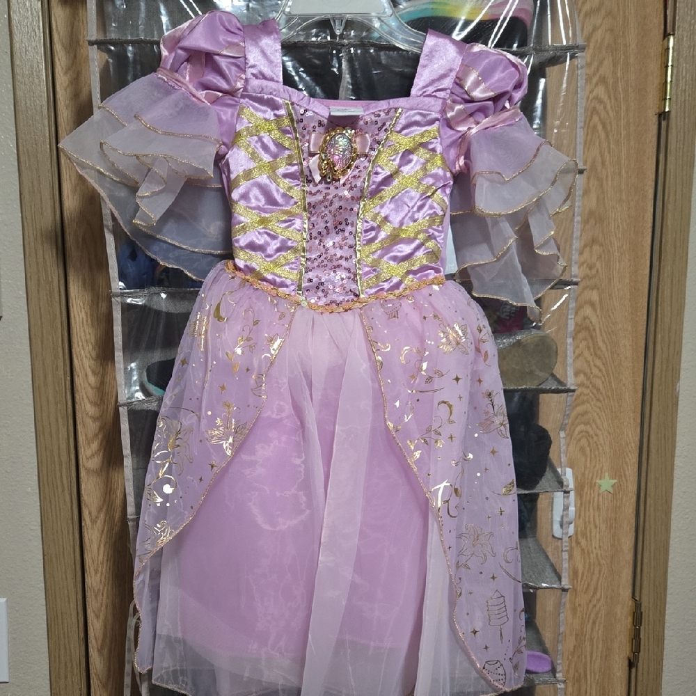 Disney Rapunzel Costume